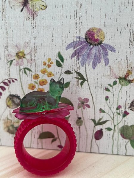 Life on the Ring 001