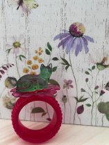 Life on the Ring 001