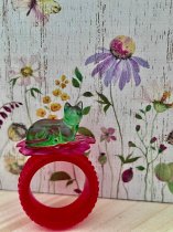 Life on the Ring 001