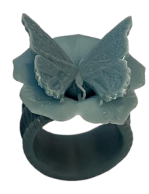 Life on the Ring 003